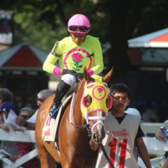 Bring Me a Check profile 2