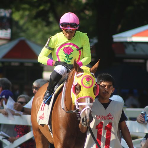 Bring Me a Check profile 2