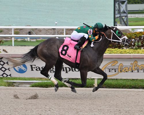 Celestial Glaze profile