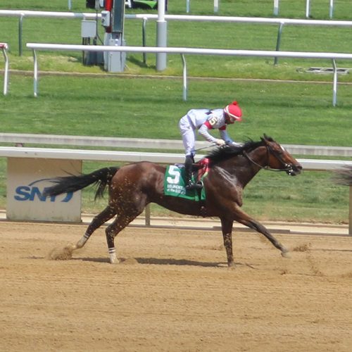 Gentleman Joe profile