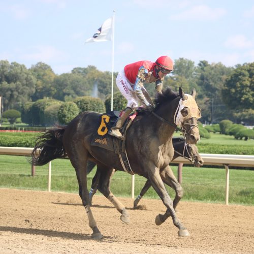 Hammerin Aamer profile