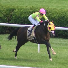 Heaven Street profile