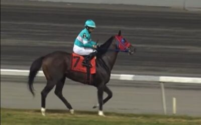 APS Scores First Win at Meadowlands
