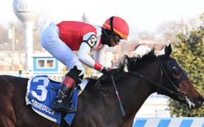 Honey in the Bank Breaks Maiden at Aqueduct