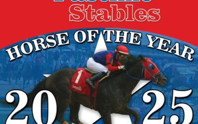 Unlimitedpotential Named APS Horse of the Year