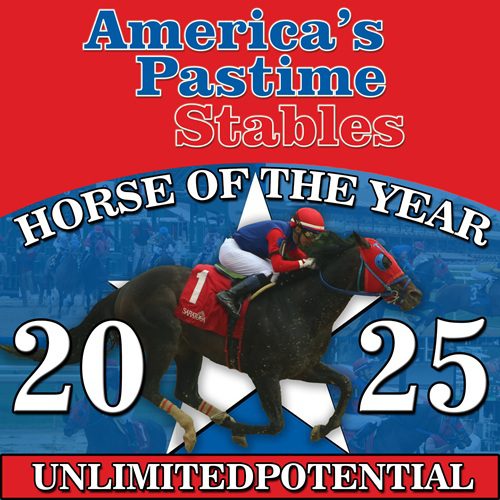 Horse of the year 2025 web