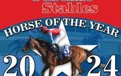 Smokin’ Hot Kitty Named Horse of the Year