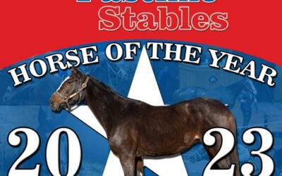Toni Tools Named APS Horse of the Year