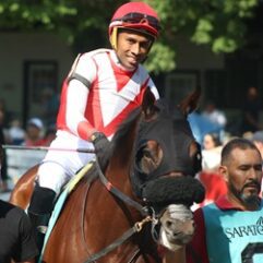 Makeyourmoment 8 10 25 album