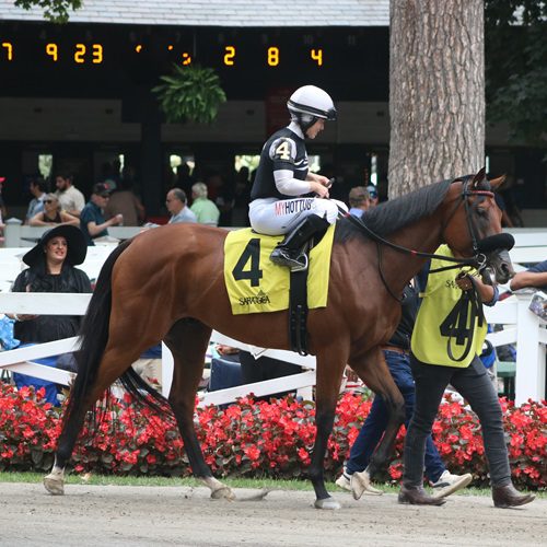 Makeyourmoment profile