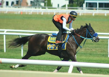 Miss Candy Girl roster