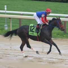 Ragtime Sizzle 7 27 25 album