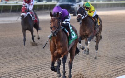 Already on the campaign trail, Romans could hop on Derby trail with Rockies Balboa