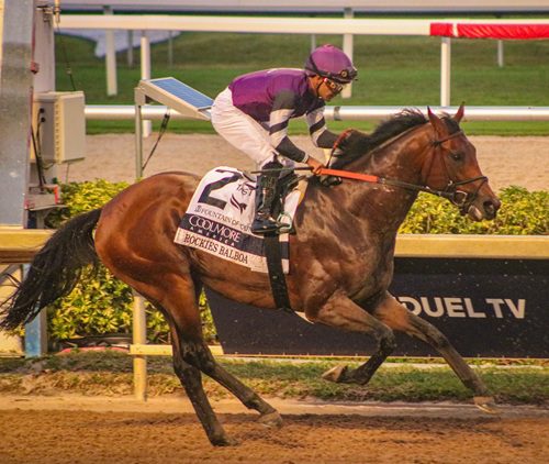 Rockies Balboa profile 2