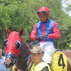 Rodeo Star 7 10 25 album