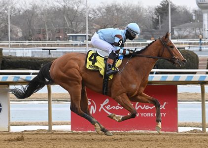 sabby sunset 1 scaled