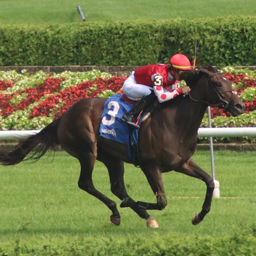 Snipsnipptysnip profile