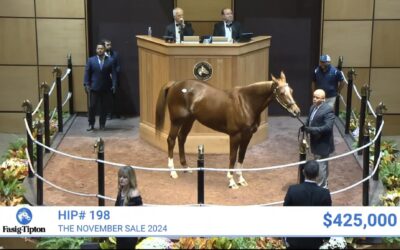 Sweet Dani Girl Breaks Record at Fasig-Tipton Night of Stars