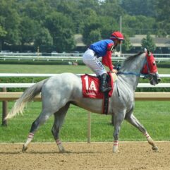 Winter's Ghost profile