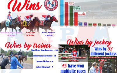 100 Wins by the Numbers