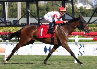 Andi’s Kitten (in foal to Solomini)