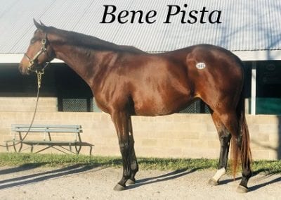 Bene Pista