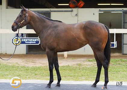 Dialed In Gulf View roster