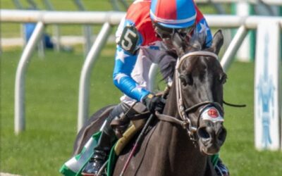 APS Wins First Race at Fairgrounds on Two Win Day