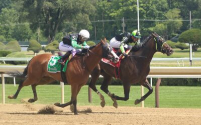 New York Scrappy Wins for the 5th Time This Year
