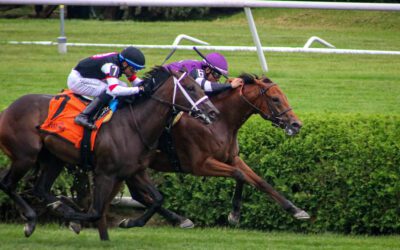 Cactus Closer Breaks Maiden in Turf Debut