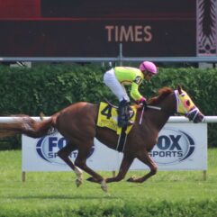 Ocala Dream profile
