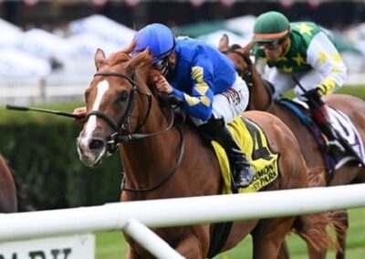 Ocala Dream