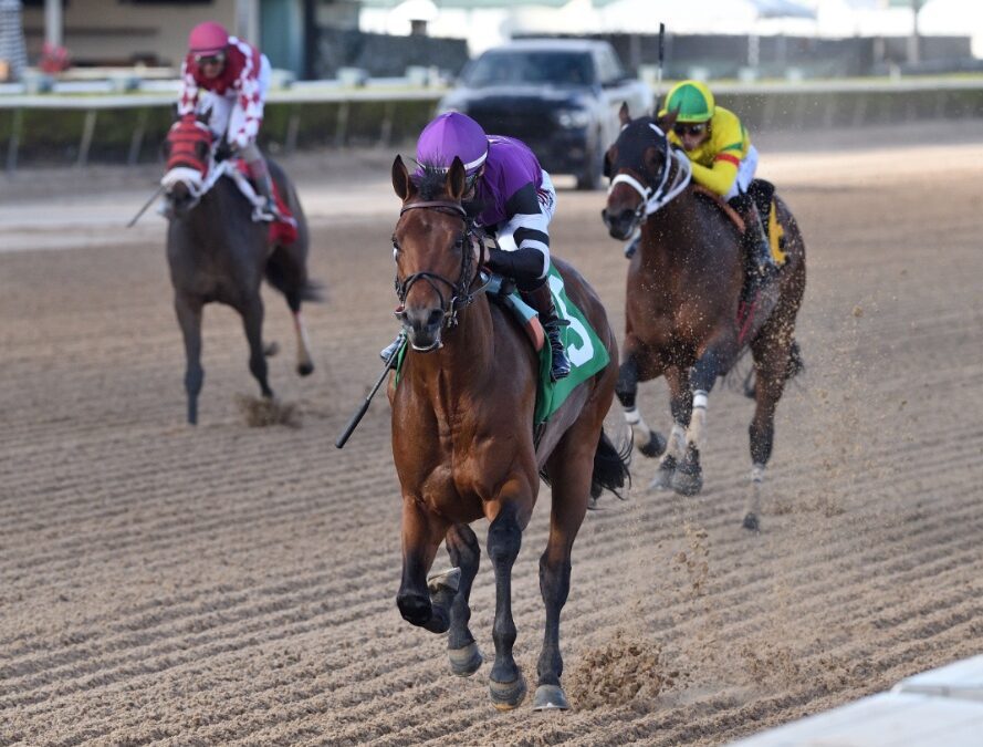 Already on the campaign trail, Romans could hop on Derby trail with Rockies Balboa
