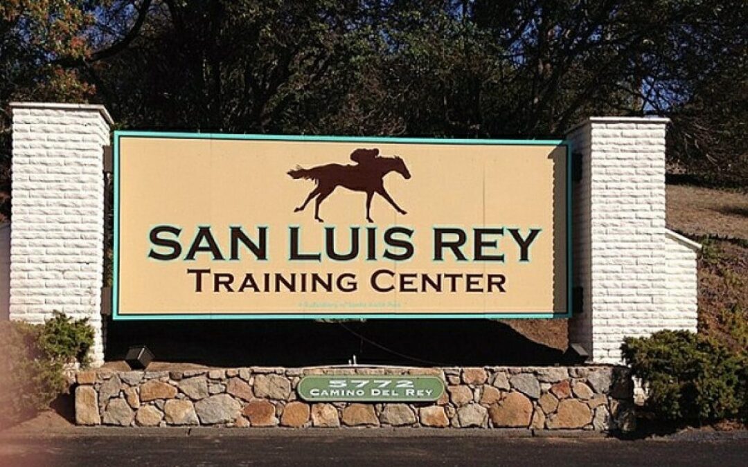 Starts Now Among Horses Evacuated Due To Wildfires