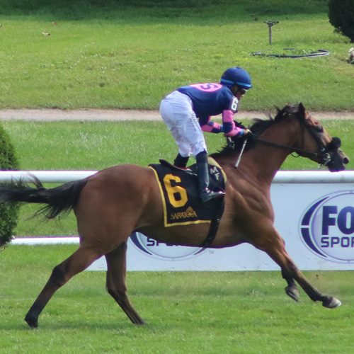 Sharons Pharoah profile