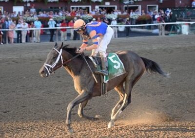 Super Surprise (in foal to Cyberknife)