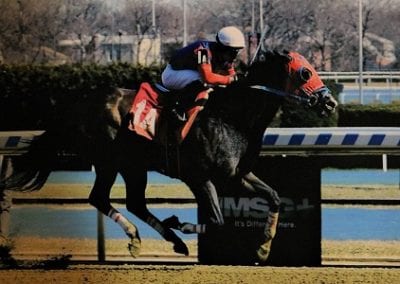 Talent Scout