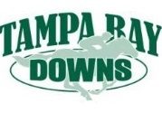 Tampa Bay Downs logo Tampa Bay Downs logo
