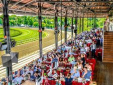 turf terrace